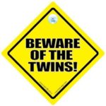 Beware Of The Twins Car Sign, Beware Of The Twins Car Sign, Beware Of The Twins Sign, Twins On Board, Twins Car Sign,Bumper Sticker, Twins Sign, Decal, Baby Car Sign